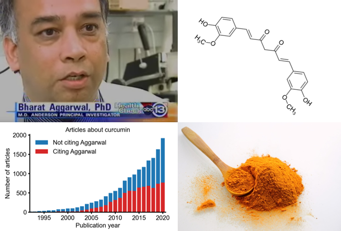 The King of Curcumin: a case study in consequences of large-scale research fraud